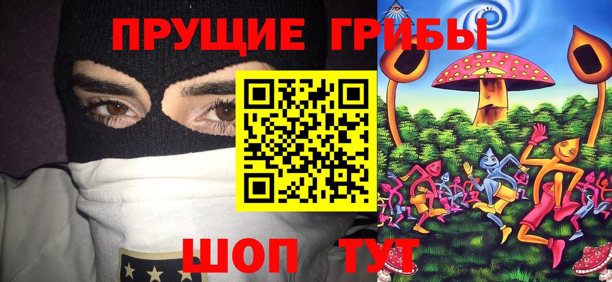 Псилоцибиновые грибы мицелий  Вход с VPN  Псилоцибиновые грибы Psilocybe  Королёв 