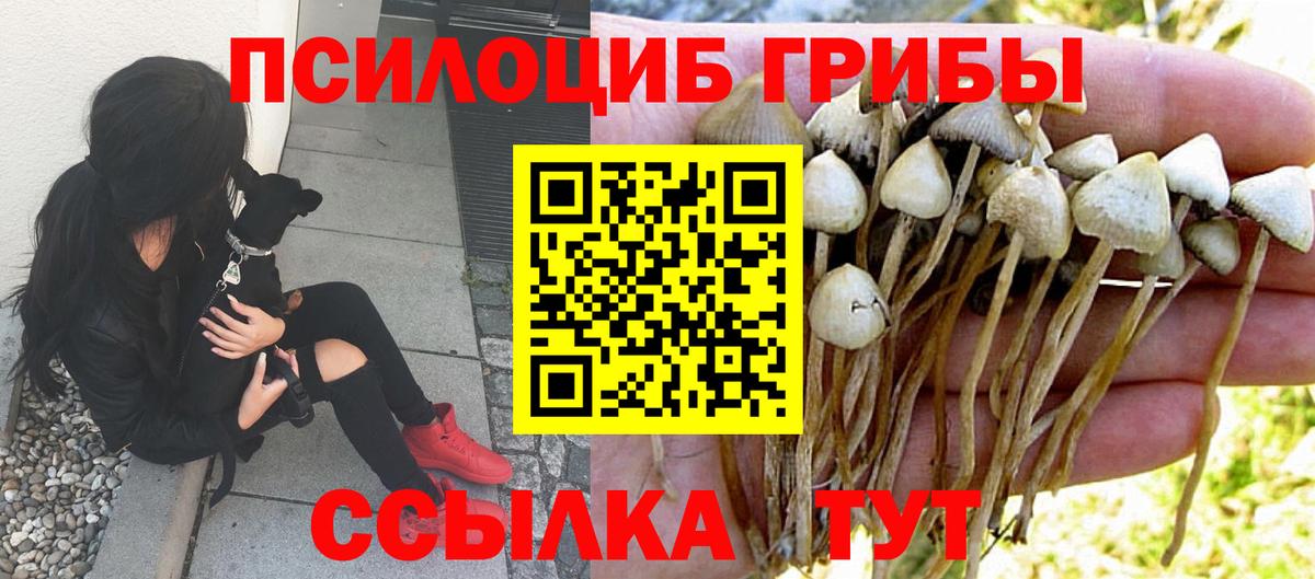 Галлюциногенные грибы прущие грибы Королёв
